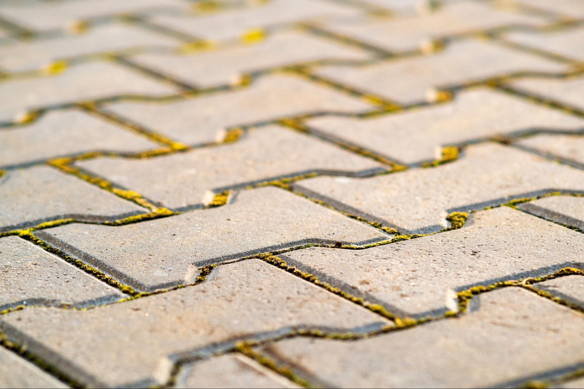 Close-up view of gray concrete paver slabs showing texture and clean joint lines