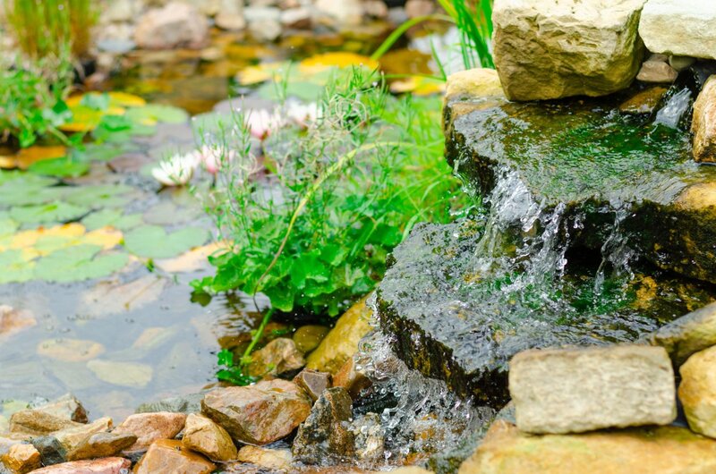 The Most Popular Types of Water Features for Modern Landscape